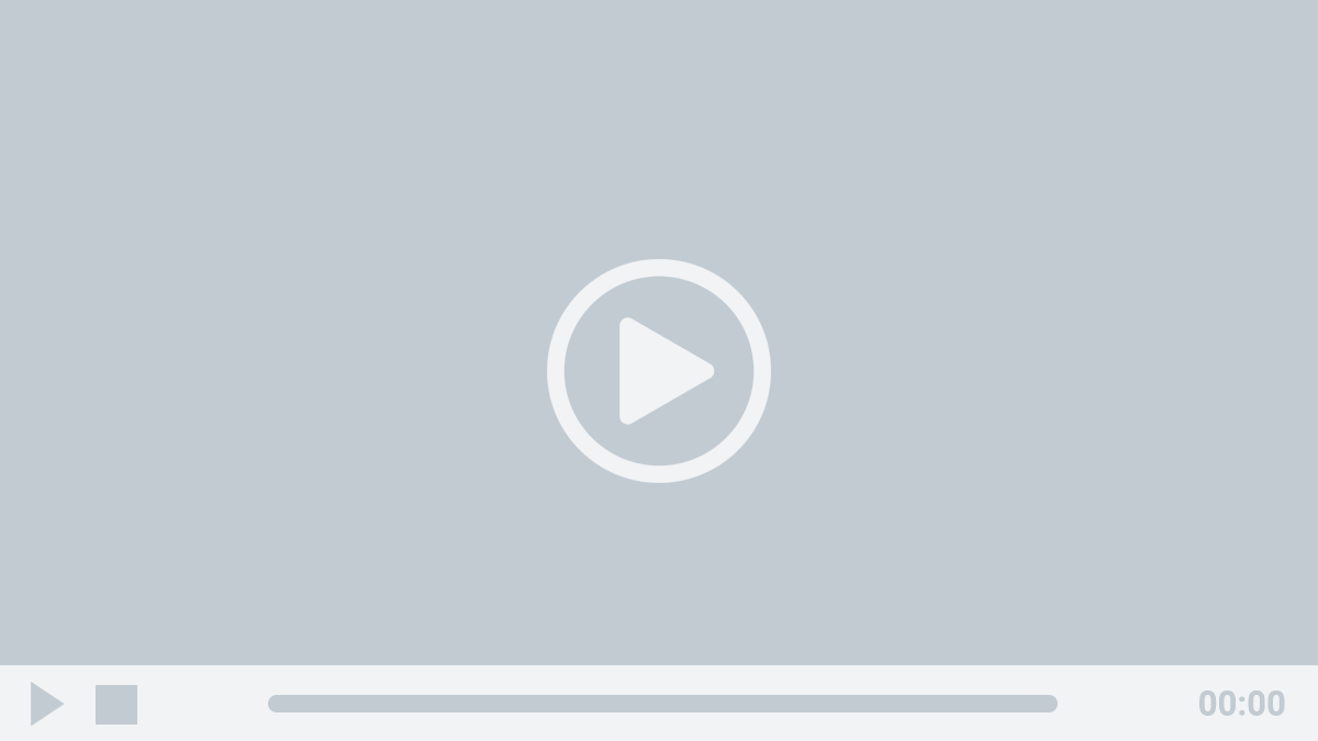 Demo video